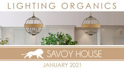 Savoy House 2021 January Lighting Organics