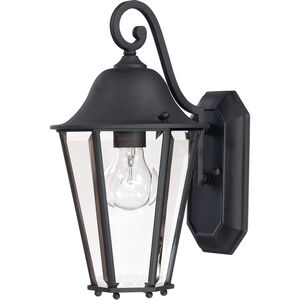 Truscott 1 Light 14 inch Black Outdoor Wall Lantern