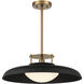 Gavin 1 Light 20 inch Matte Black with Warm Brass Accents Pendant Ceiling Light 