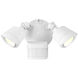 Stella 2 Light 7.87 inch Outdoor Wall Light