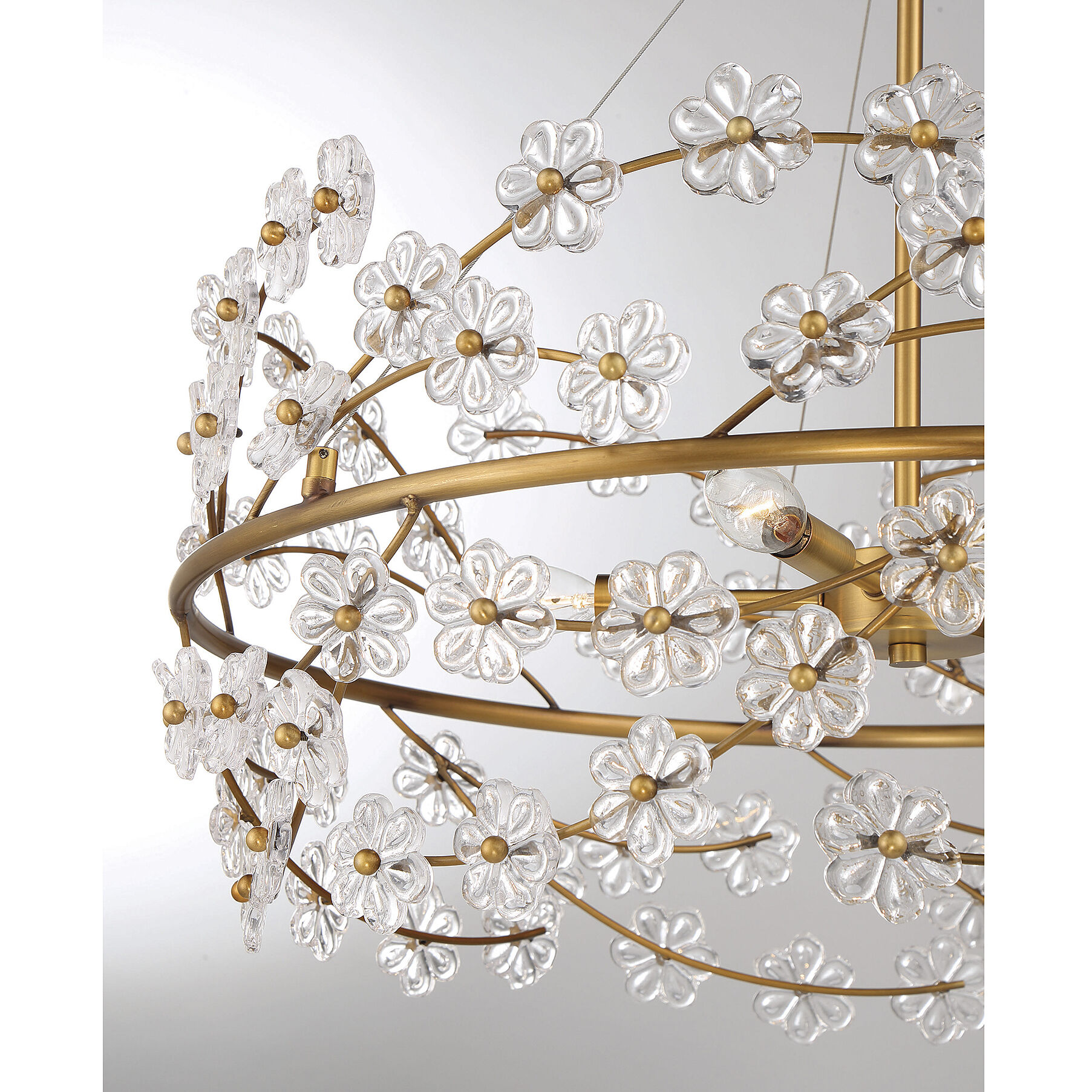 Camille 5 Light 24 inch Warm Brass Chandelier Ceiling Light