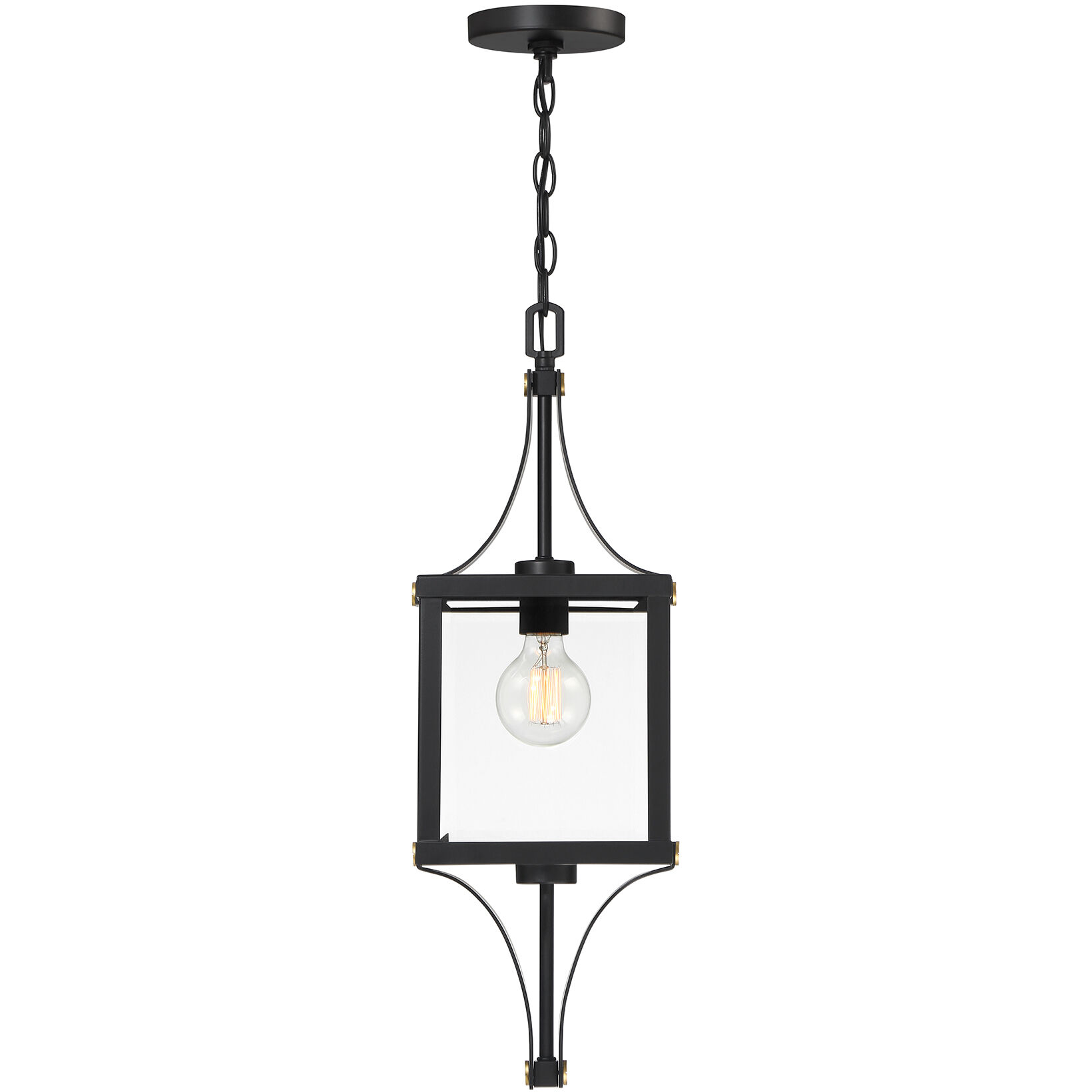 Raeburn 1 Light 8.5 inch Matte Black with Burnished Brass Accents Outdoor Hanging Lantern