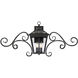 Ellijay Outdoor Wall Lantern in English Bronze, with Scrolls
