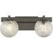 Darien 2 Light 17 inch Mediterranean Bronze Bathroom Vanity Light Wall Light
