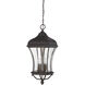 Realto 4 Light 12 inch Walnut Patina Outdoor Hanging Lantern
