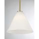 Blair 1 Light 10 inch Warm Brass Mini-Pendant or Semi-Flush Ceiling Light
