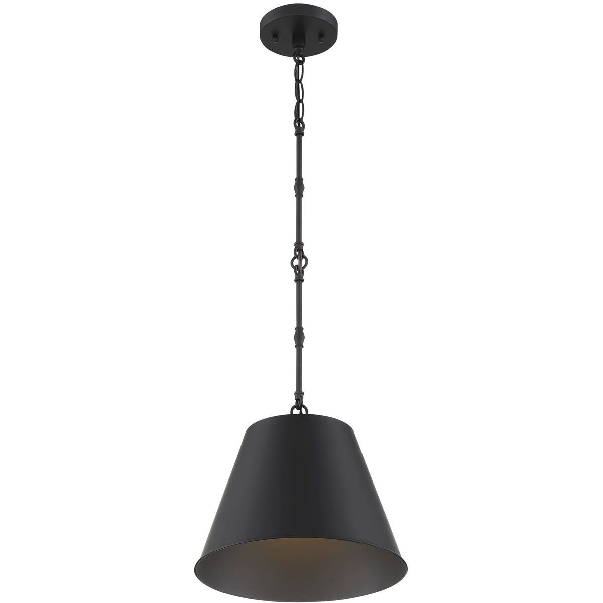 Alden 1 Light 12 inch Matte Black Pendant Ceiling Light, Essentials
