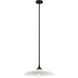 Hadley 1 Light 20 inch Matte Black Pendant Ceiling Light