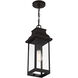 Drexel 1 Light 7.5 inch English Bronze Outdoor Hanging Lantern, Lighting One