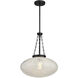 Willow 1 Light 16.5 inch Matte Black Pendant Ceiling Light