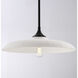 Hadley 1 Light 20 inch Matte Black Pendant Ceiling Light