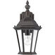 Wakefield Outdoor Wall Lantern in Walnut Patina