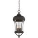Realto 4 Light 12 inch Walnut Patina Outdoor Hanging Lantern