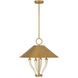 Hearne 4 Light 22 inch Warm Brass Pendant Ceiling Light