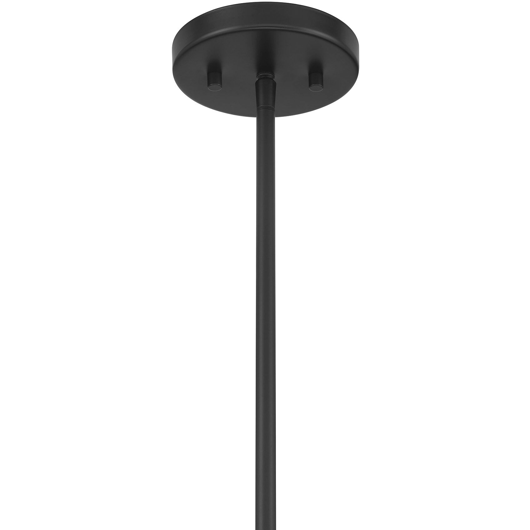 Holton 4 Light 26 inch Matte Black Chandelier Ceiling Light