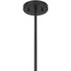 Holton 4 Light 26 inch Matte Black Chandelier Ceiling Light