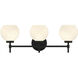 Hannah 3 Light 24.00 inch Bathroom Vanity Light