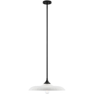 Hadley 1 Light 20 inch Matte Black Pendant Ceiling Light