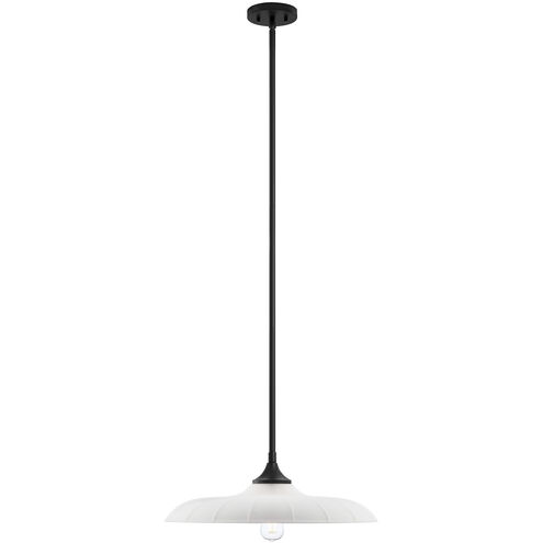 Hadley 1 Light 20 inch Matte Black Pendant Ceiling Light