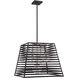 Lakewood 5 Light 24 inch Bronze / Stainless Steel Pendant Ceiling Light