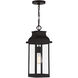 Drexel 1 Light 7.5 inch English Bronze Outdoor Hanging Lantern, Lighting One
