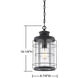 Fletcher 1 Light 9 inch Oxidized Black Outdoor Hanging Lantern