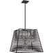 Lakewood 5 Light 24 inch Bronze / Stainless Steel Pendant Ceiling Light