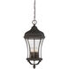 Realto 4 Light 12 inch Walnut Patina Outdoor Hanging Lantern