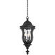 Monticello 3 Light 10 inch Black Outdoor Hanging Lantern