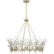 Orianna 8 Light 32 inch Noble Brass Chandelier Ceiling Light