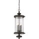 Palmer 4 Light 13 inch Walnut Patina Outdoor Hanging Lantern