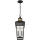 Kingsley 2 Light 8.5 inch Matte Black with Warm Brass Outdoor Hanging Lantern