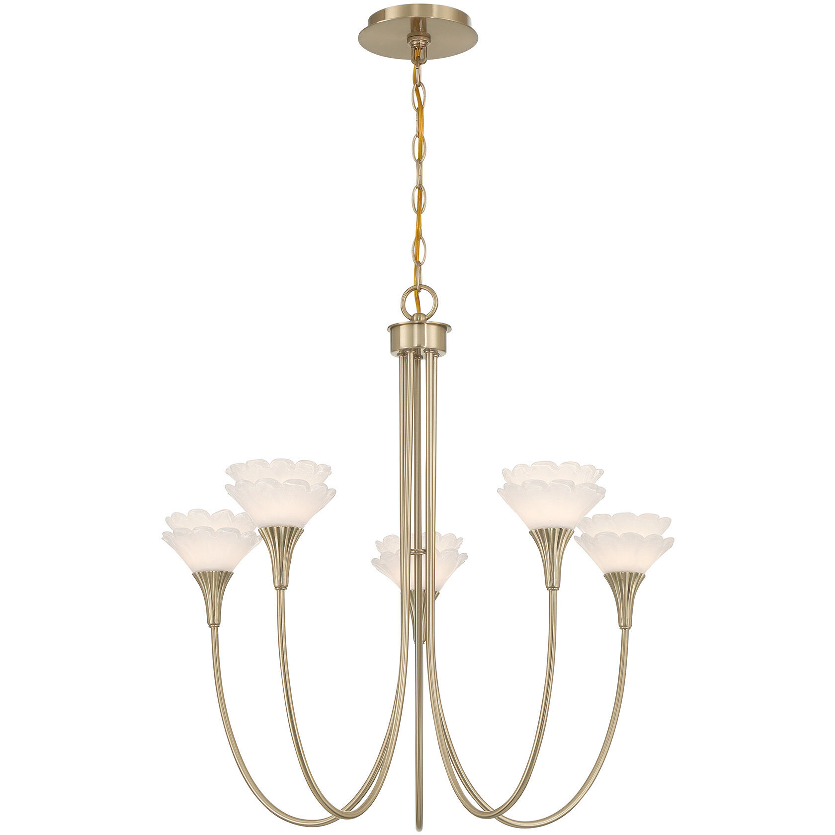 Florena 5 Light 26 inch Noble Brass Chandelier Ceiling Light