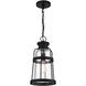 Quinton 1 Light 8.5 inch Matte Black Outdoor Hanging Lantern, Lighting One