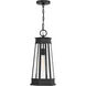 Payne 1 Light 9.5 inch Matte Black Outdoor Hanging Lantern