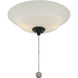 Windstar 2 Light Incandescent Matte Black Fan Light Kit