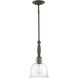 Chester 1 Light 8.5 inch Sweetgum Pendant Ceiling Light