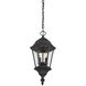 Wakefield 2 Light 9.25 inch Textured Black Outdoor Hanging Lantern