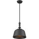 Berg 1 Light 12 inch Matte Black Pendant Ceiling Light, Essentials