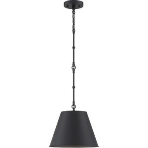 Alden 1 Light 18.25 inch Matte Black Pendant Ceiling Light, Essentials
