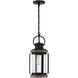 Parker 1 Light 9 inch Lodge Outdoor Hanging Lantern