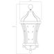 Realto 4 Light 12 inch Walnut Patina Outdoor Hanging Lantern