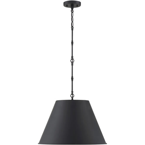 Alden 1 Light 18.25 inch Matte Black Pendant Ceiling Light, Essentials