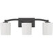 Whitney 3 Light 24 inch Matte Black Vanity Light Wall Light