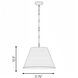 Alden 1 Light 18.25 inch Warm Brass Pendant Ceiling Light, Essentials