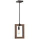 Burgess 1 Light 9.25 inch Durango Mini-Pendant Ceiling Light