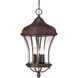 Realto 4 Light 12 inch Walnut Patina Outdoor Hanging Lantern