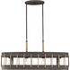 Leland 4 Light 36.13 inch Artisan Rust Linear Chandelier Ceiling Light