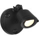 Stella Outdoor Flood Light in Black, Essentials