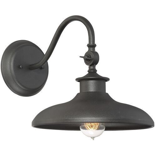 Raleigh Outdoor Wall Lantern